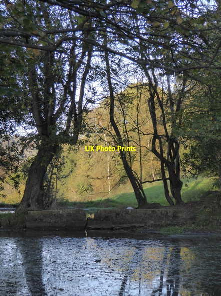 Photo 6"x4" Trees by a pond near Wotton church Wotton\/TQ1247 c2017
