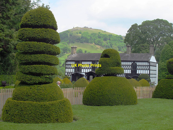 Photo 6"x4" Plas Newydd - topiary Llangollen c2017