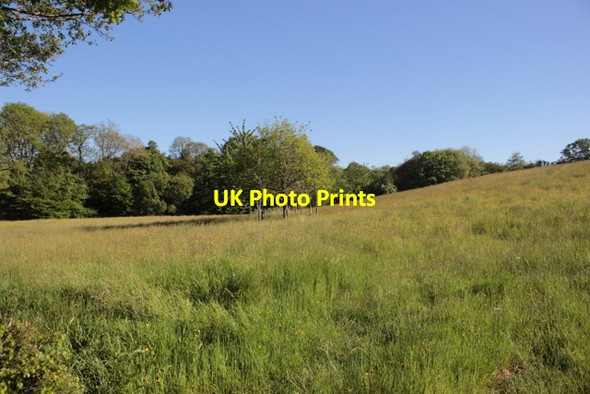 Photo 6"x4" Fields near Penhallam Manor Week Green c2017