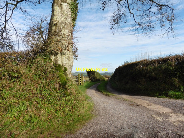 Photo 6"x4" Track to Haydon Hayes Loxbeare c2017