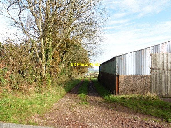 Photo 6"x4" Track leading east from Long Lane Loxbeare c2017