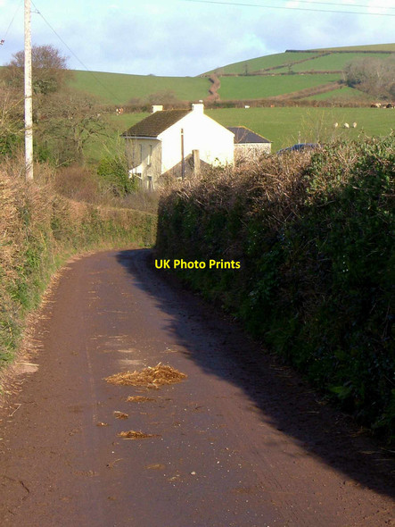 Photo 6"x4" Well Farm Ashburton c2006