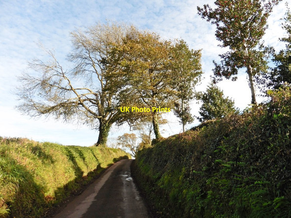 Photo 6"x4" Long Lane Tiverton\/SS9512 c2017