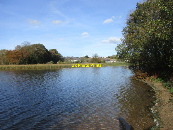 Photo 6"x4" A corner of Hornsea Mere Hornsea c2017