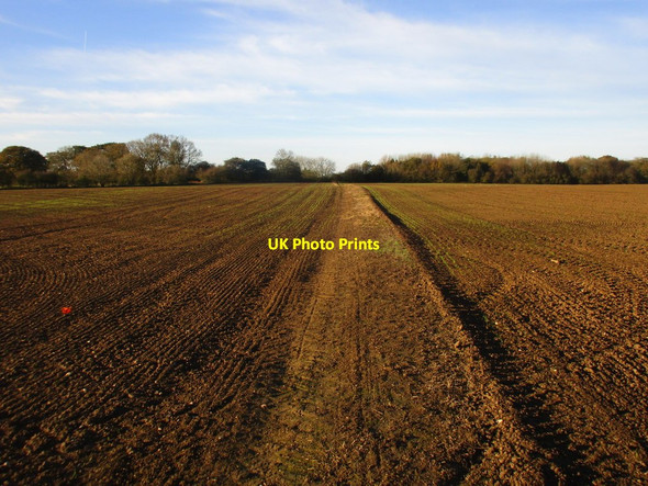 Photo 6"x4" Footpath to Wassand Seaton\/TA1646 c2017