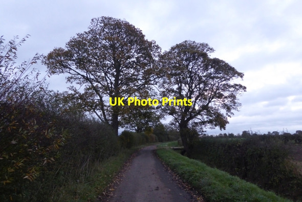 Photo 6"x4" Low Lane Heslington c2017