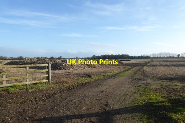 Photo 6"x4" Field track off the B1222 Naburn c2017