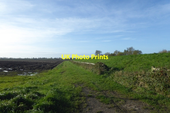 Photo 6"x4" Beside the flood bank Acaster Selby c2017