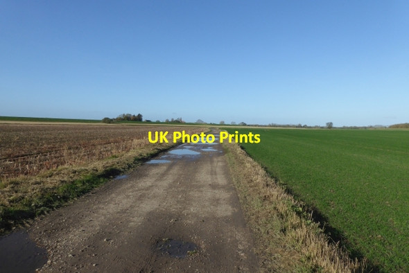 Photo 6"x4" Ings Lane Barlby c2017