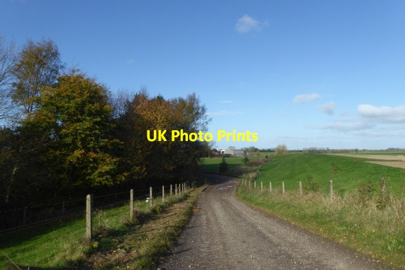 Photo 6"x4" Looking down Ings Lane Wistow\/SE5935 c2017