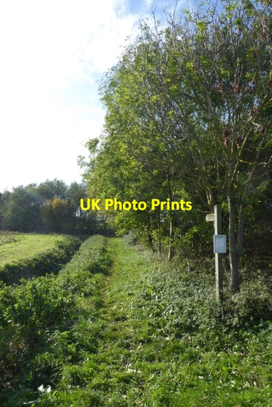 Photo 6"x4" Footpath off Marsh Lane Cawood c2017
