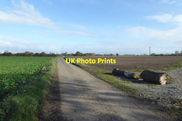 Photo 6"x4" Ings Lane near Marsh Lane Cawood c2017