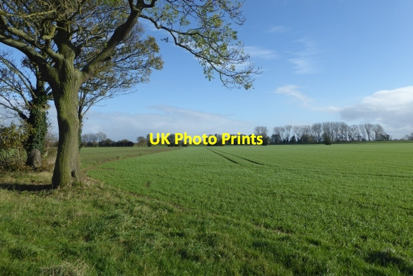Photo 6"x4" Fields off Ings Lane Dawker Hill c2017