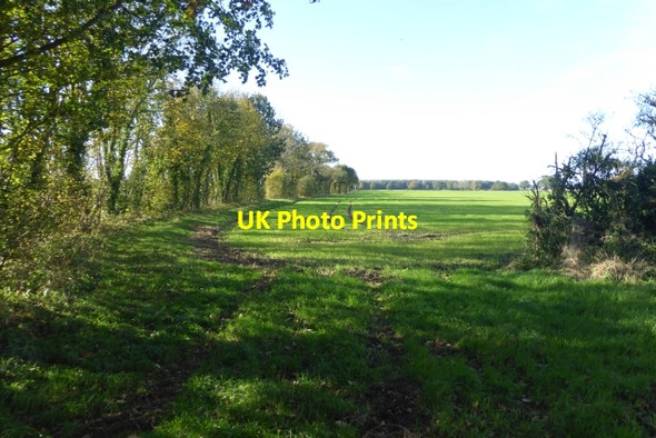 Photo 6"x4" Farm track north of Kelfield Kelfield\/SE5938 c2017