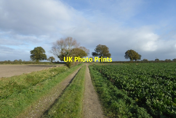 Photo 6"x4" Whinny Lane Kelfield\/SE5938 c2017