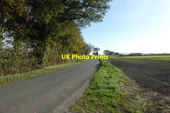 Photo 6"x4" Road to Kelfield Stillingfleet c2017