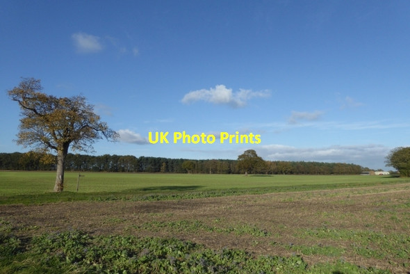 Photo 6"x4" Farmland off Stewart Lane Acaster Selby c2017
