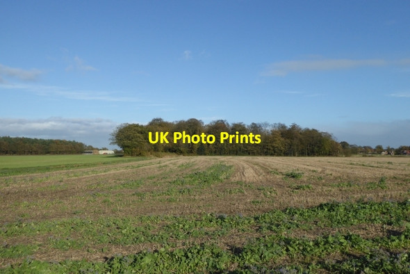 Photo 6"x4" Farmland beside Stewart Lane Acaster Selby c2017