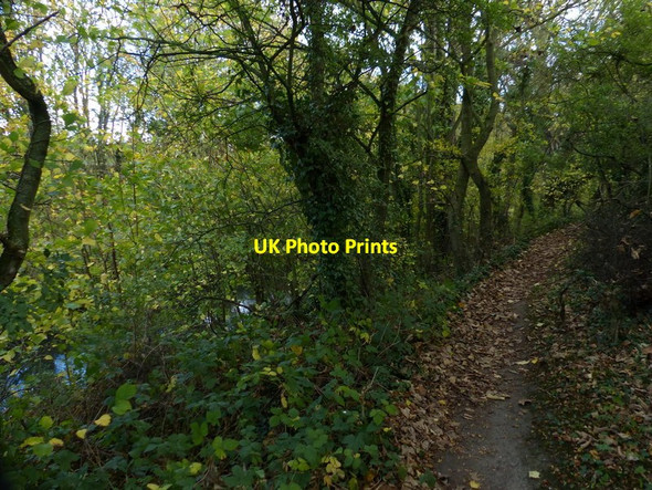 Photo 6"x4" Path next to the Grantham Canal Denton\/SK8632 c2017