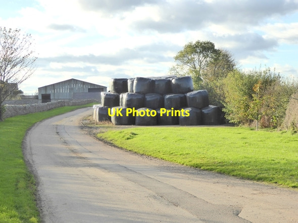Photo 6"x4" Bales at Felkington Felkington c2017