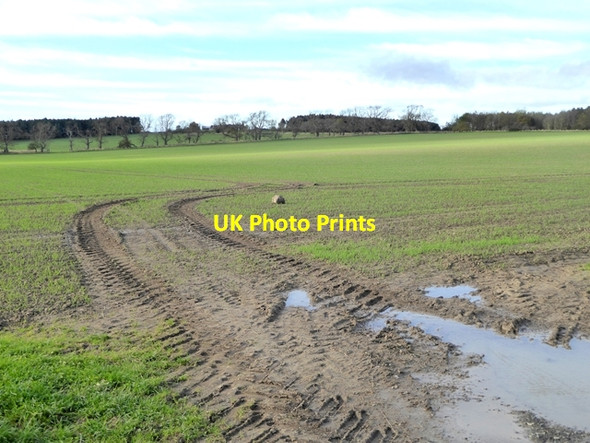 Photo 6"x4" Newly-sown field  at Barmoor Ridge Farm Ford Hill\/NT9537 c2017