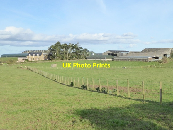 Photo 6"x4" Bowsden Moor Farm Felkington c2017