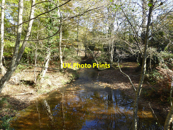 Photo 6"x4" Highland Water, New Forest Emery Down c2017