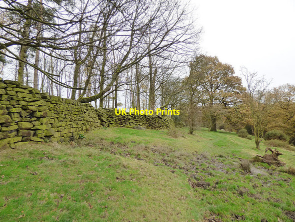 Photo 6"x4" Footpath below Rough Plantation Ryecroft\/SE0738 c2017