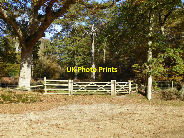 Photo 6"x4" Gates into Park Ground Inclosure, New Forest Clayhill\/SU3007 c2017