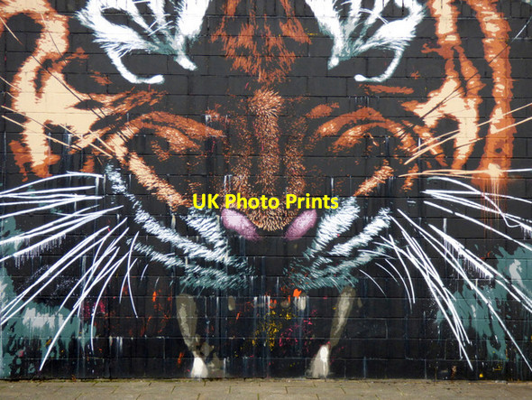 Photo 6"x4" Tiger mural at Customhouse Quay Glasgow c2017