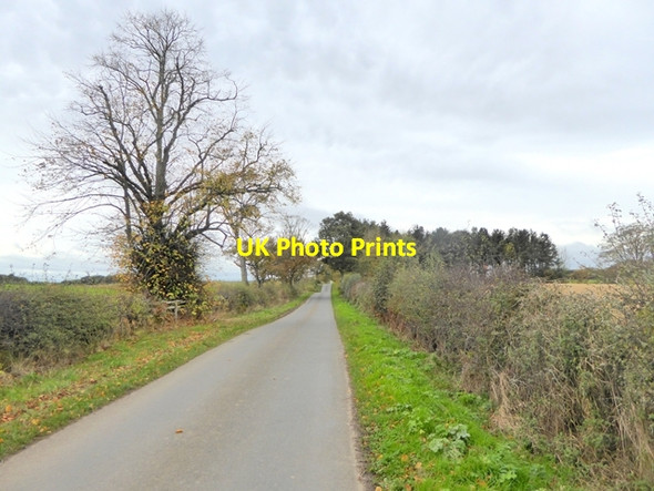 Photo 6"x4" The long straight road to Simprim Swinton Hill c2017
