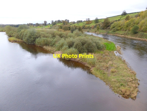 Photo 6"x4" Canny Island Ladykirk\/NT8847 c2017