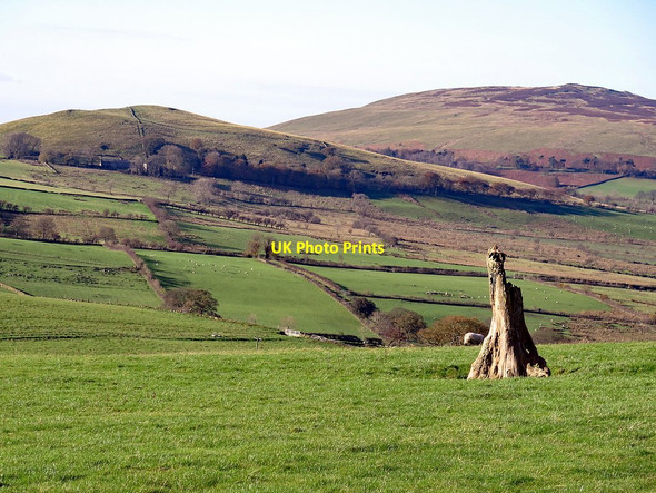 Photo 6"x4" Fields near Longlands Longlands\/NY2635 c2017