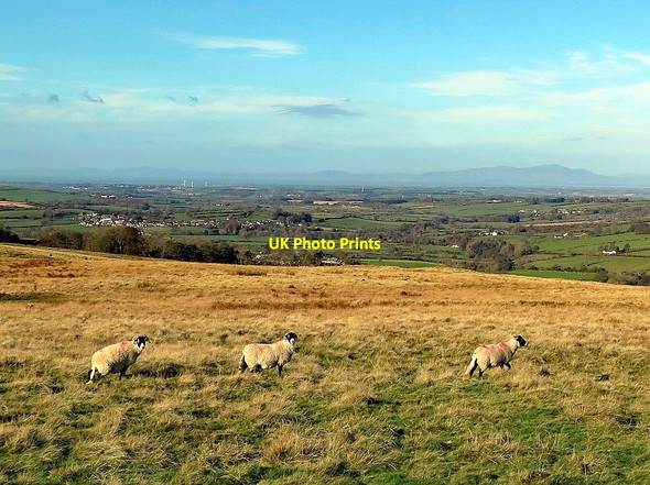 Photo 6"x4" North-west from Aughertree Fell Aughertree c2017
