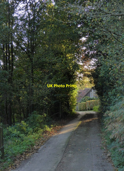 Photo 6"x4" The farmhouse, Vale Farm Wotton\/TQ1247 c2017