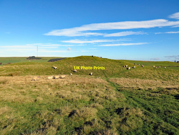 Photo 6"x4" Dale Hows, Aughertree Fell Aughertree c2017