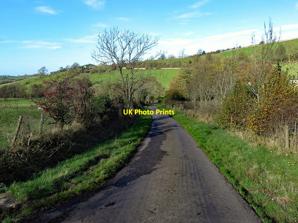 Photo 6"x4" Road south of Stanthwaite Bridge Uldale\/NY2436 c2017