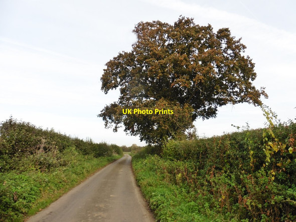 Photo 6"x4" Mulberry Lane East Stoke\/ST4817 c2017