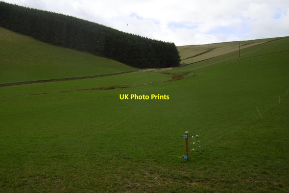 Photo 6"x4" Dean Burn Symington\/NT4348 c2017