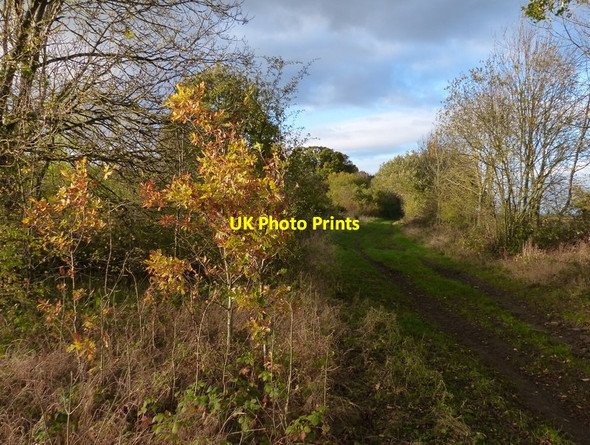 Photo 6"x4" Track near Denton Lodge Farm Denton\/SK8632 c2017