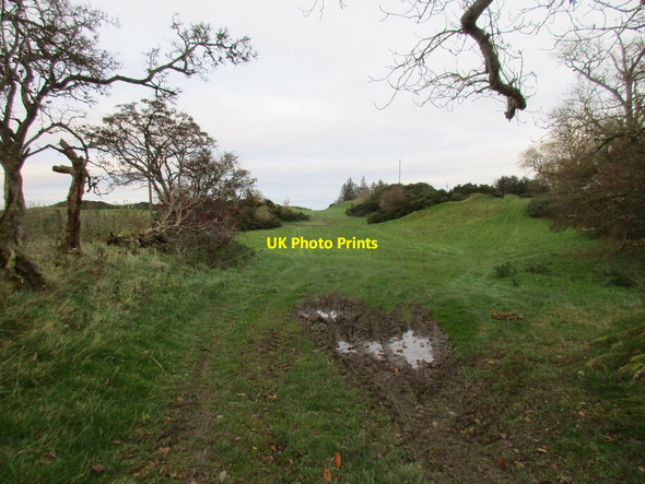 Photo 6"x4" Grass field near Orchard Hawick c2017