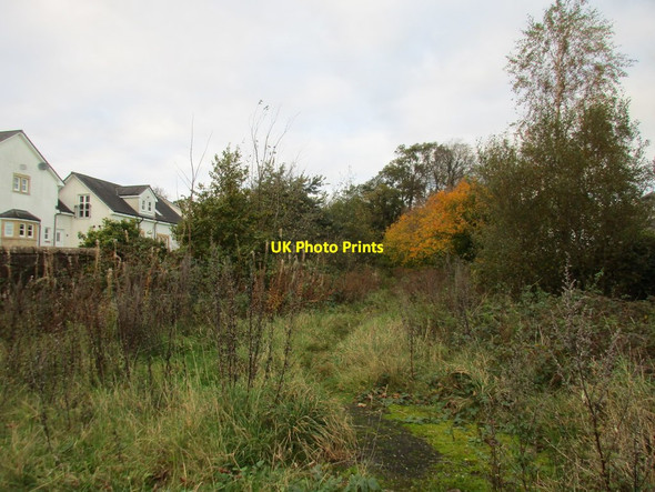 Photo 6"x4" Path to Helenslee Road Dumbarton c2017