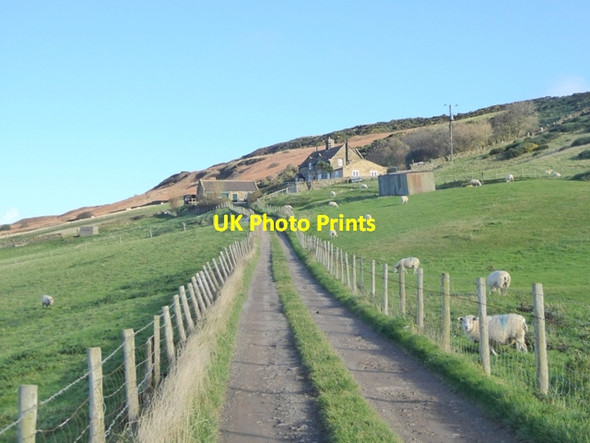 Photo 6"x4" Warren Cottage Loftus c2017
