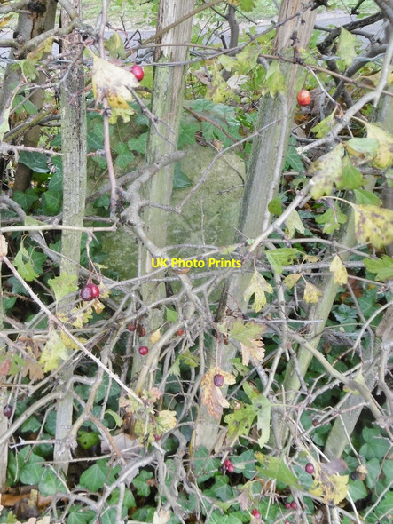 Photo 6"x4" Old Milestone by the A3057, Romsey Road, Maybush Maybush c2017