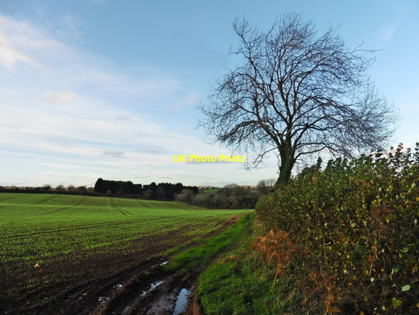 Photo 6"x4" View north from Frog Lane Kingdown c2017