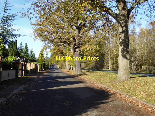 Photo 6"x4" The Ridgeway The Ridgeway c2017