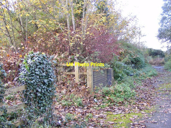 Photo 6"x4" Bloomfield Terrace Path Coseley c2017