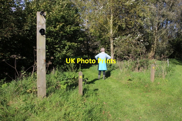 Photo 6"x4" Footpath Across Nature Reserve Combpyne c2017