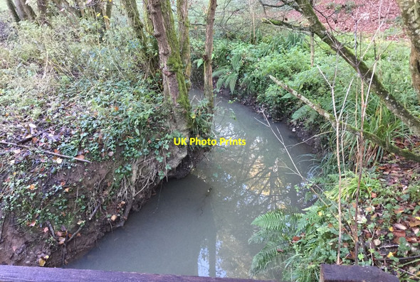 Photo 6"x4" Stream near Lower Ridges Burgess Hill c2017