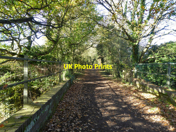 Photo 6"x4" Course of old railway Birch Green\/TL2911 c2017